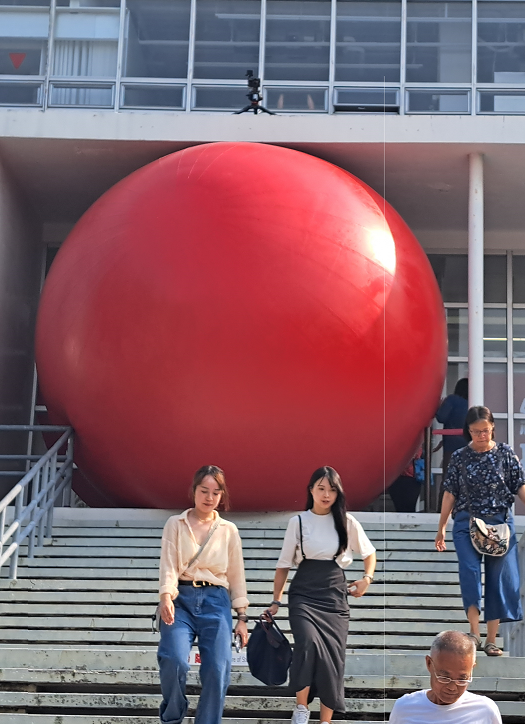 台南2024紅球計畫